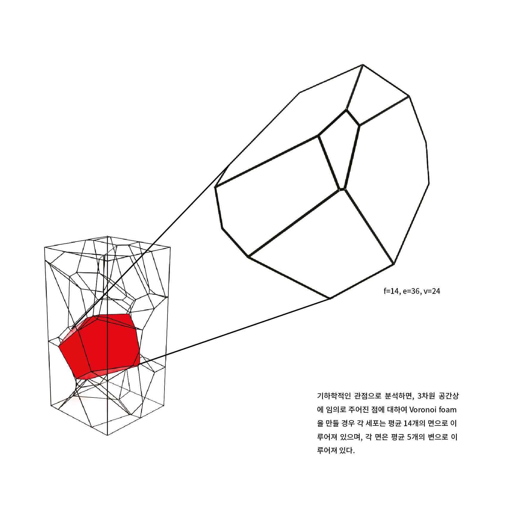 sponge-diagram-5